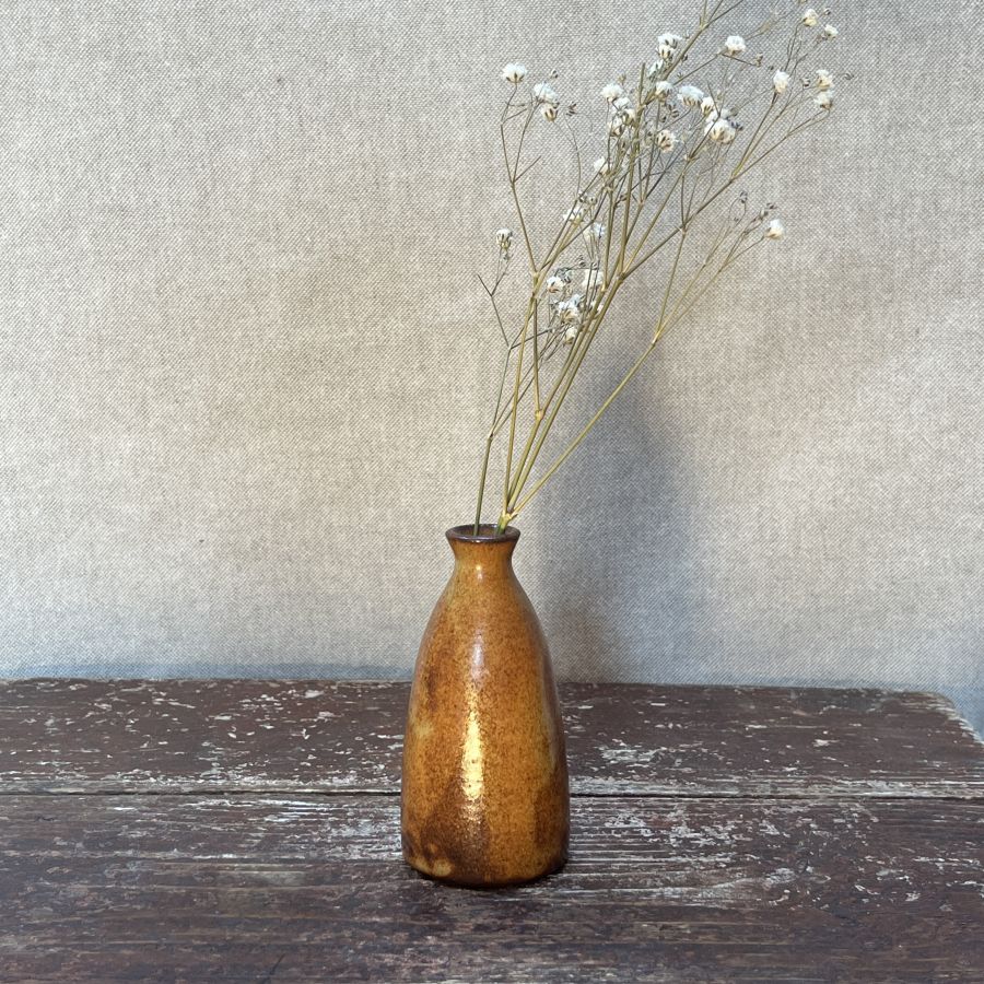 Malá vázička žíhaná 1