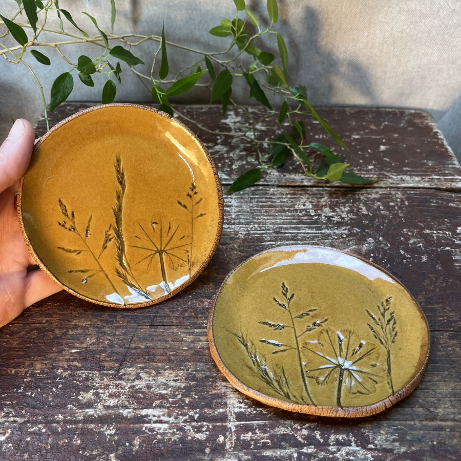 Dvojice žlutých lučních podtácků