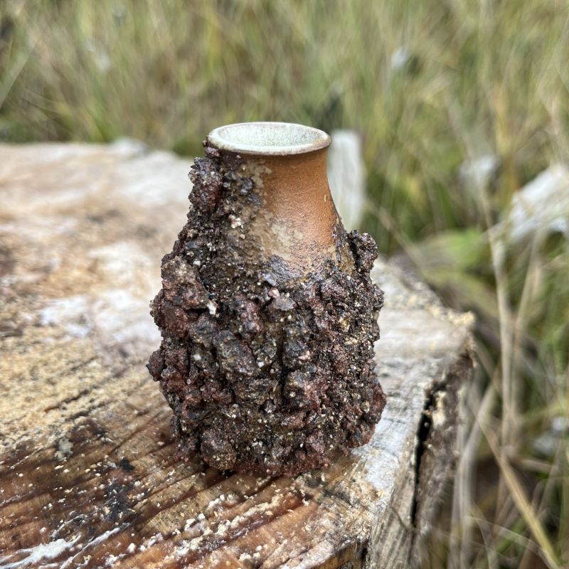 Malá vázička Země