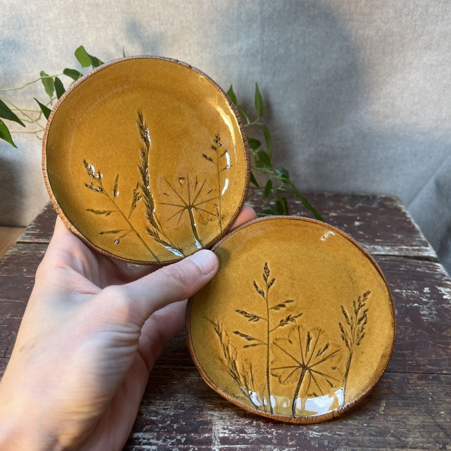 Dvojice žlutých lučních podtácků