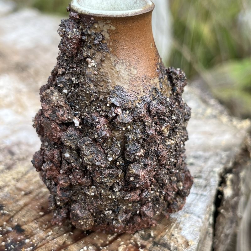 Malá vázička Země