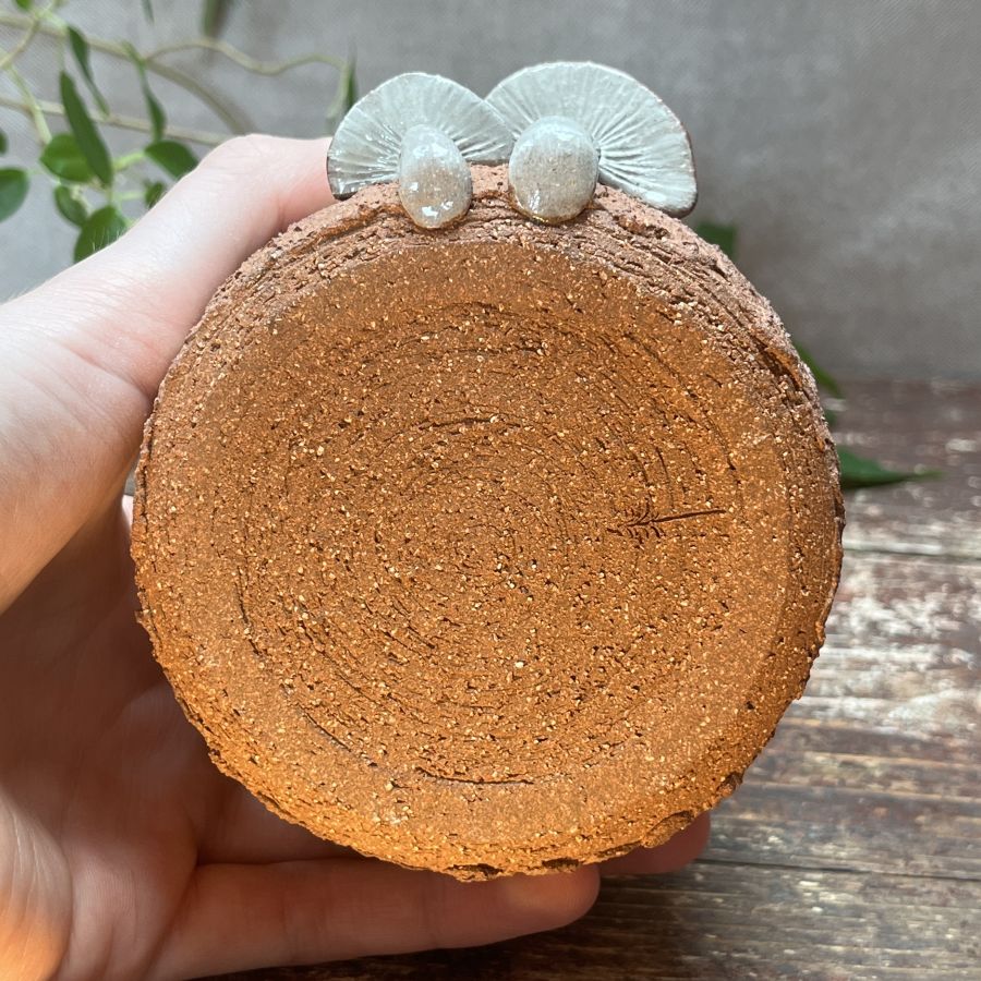 Muchomůrková cukřenka