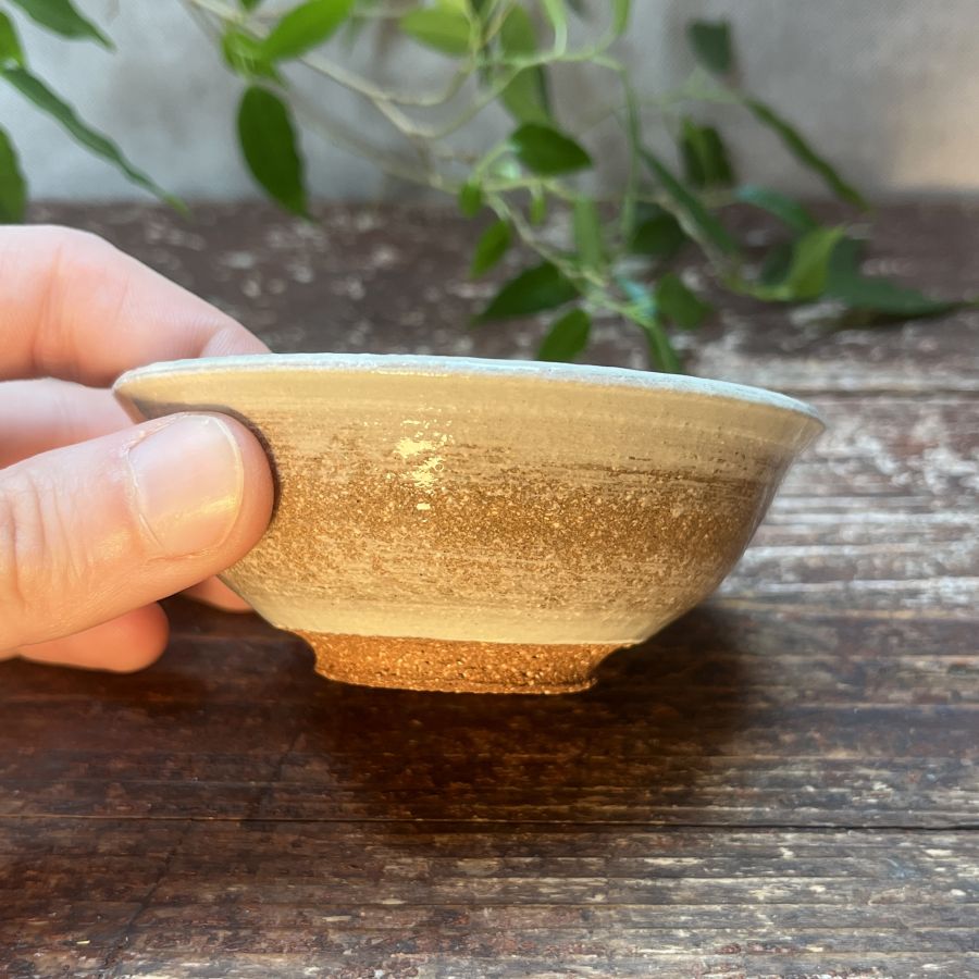 Čajová miska s kolibříkem