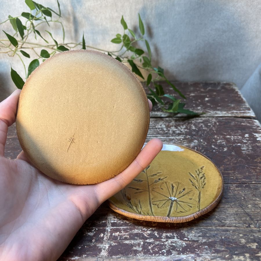 Dvojice žlutých lučních podtácků