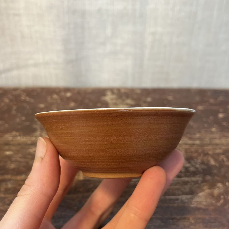 Čajový šálek s malbou sojky