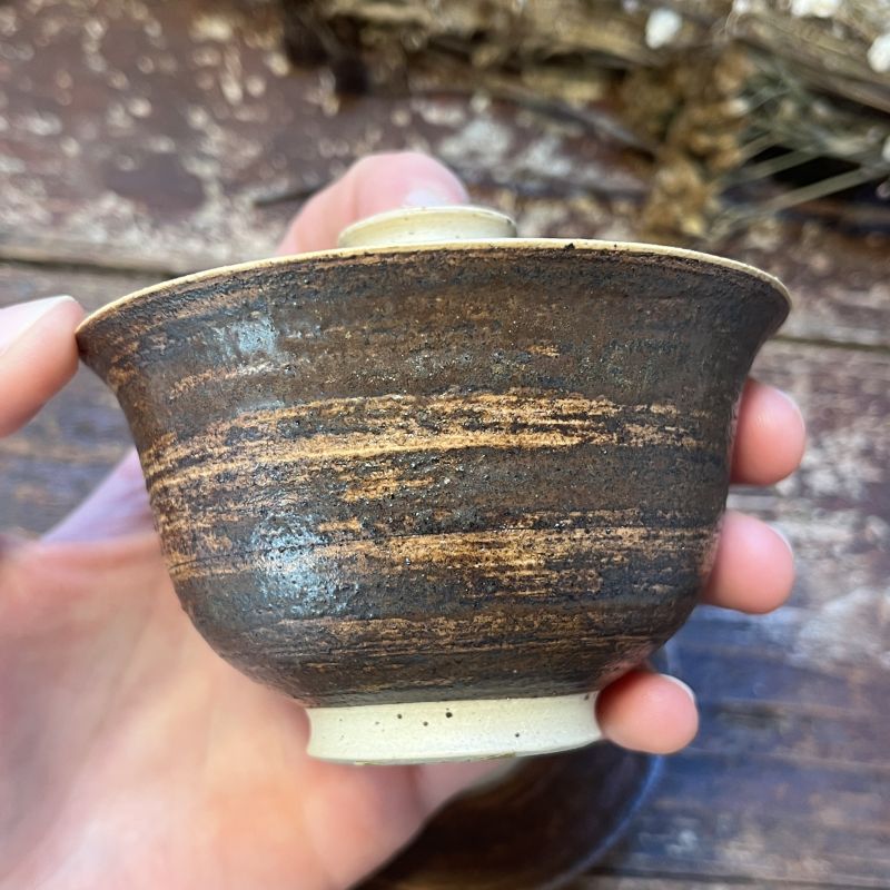 Gaiwan Cestovatel