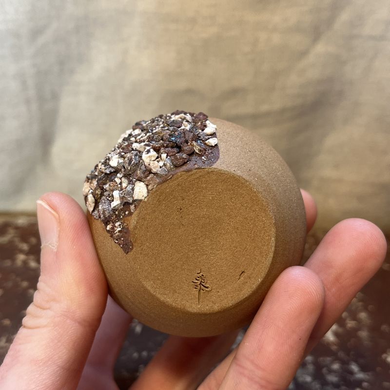 Buclatá vázička Země