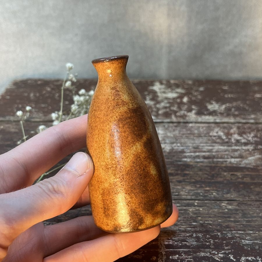 Malá vázička žíhaná 1