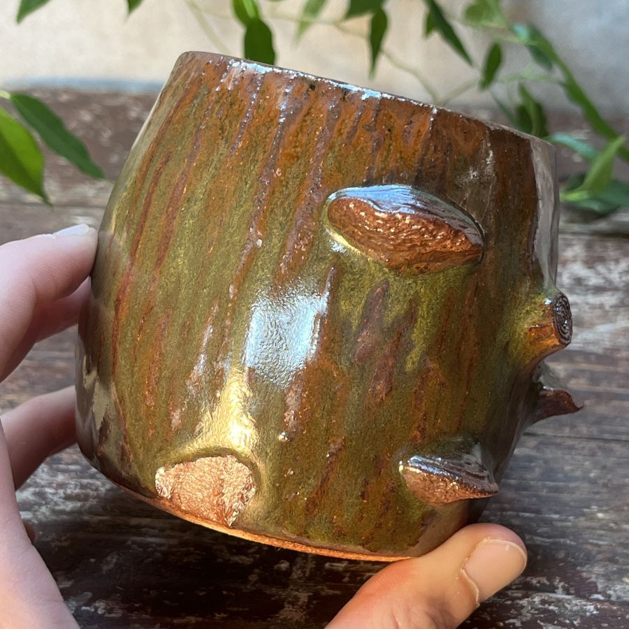 Tmavý hrnek s choroši