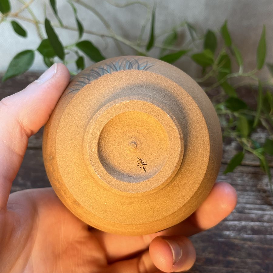 Čajový šálek s malbou vážky