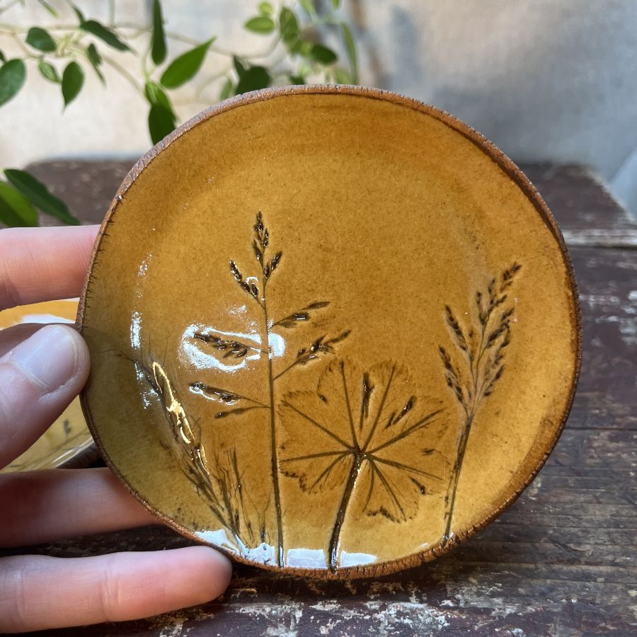 Dvojice žlutých lučních podtácků