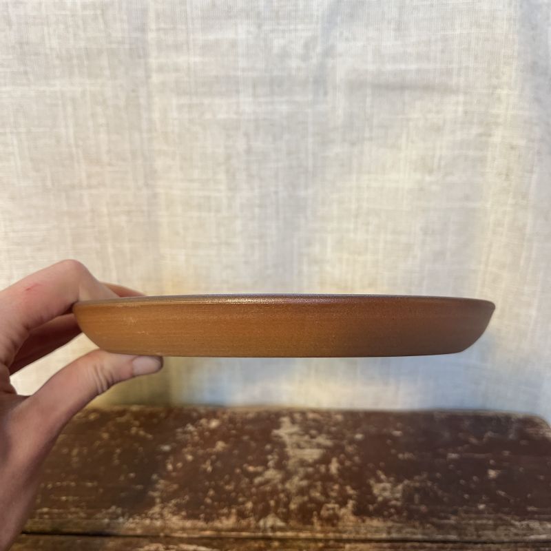 Talířek se spirálou zelenkavý