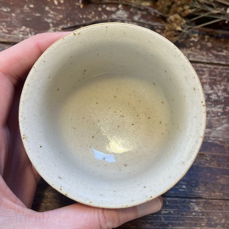 Gaiwan Cestovatel