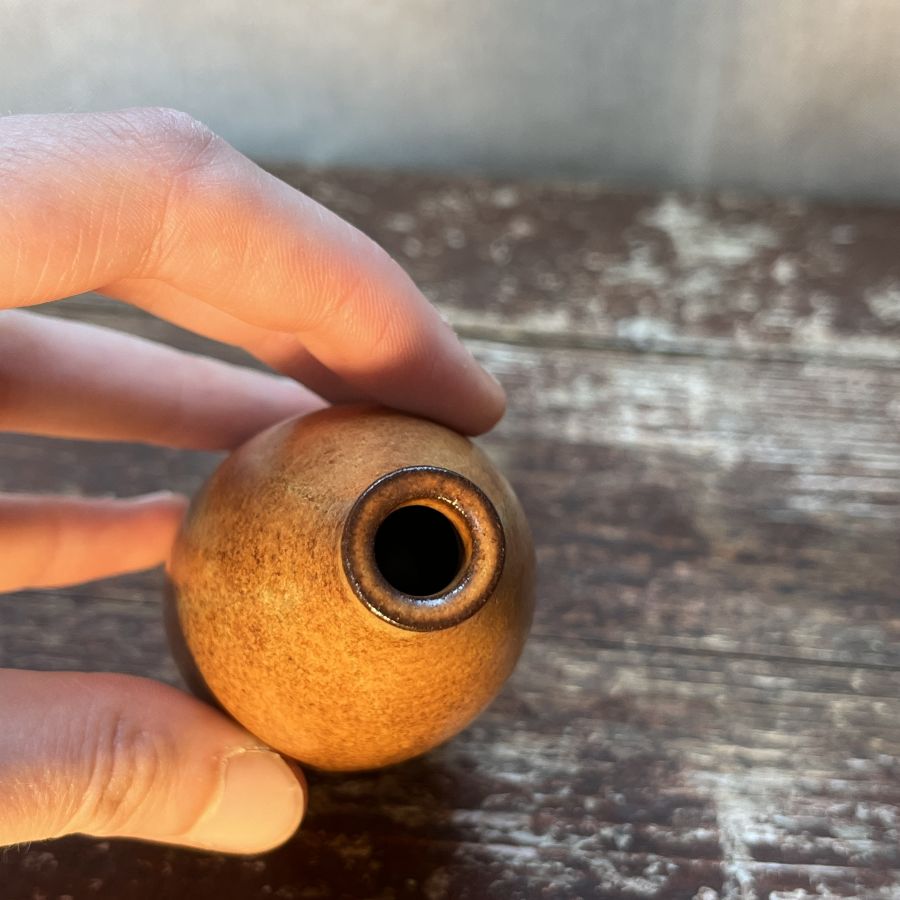 Malá vázička žíhaná 2