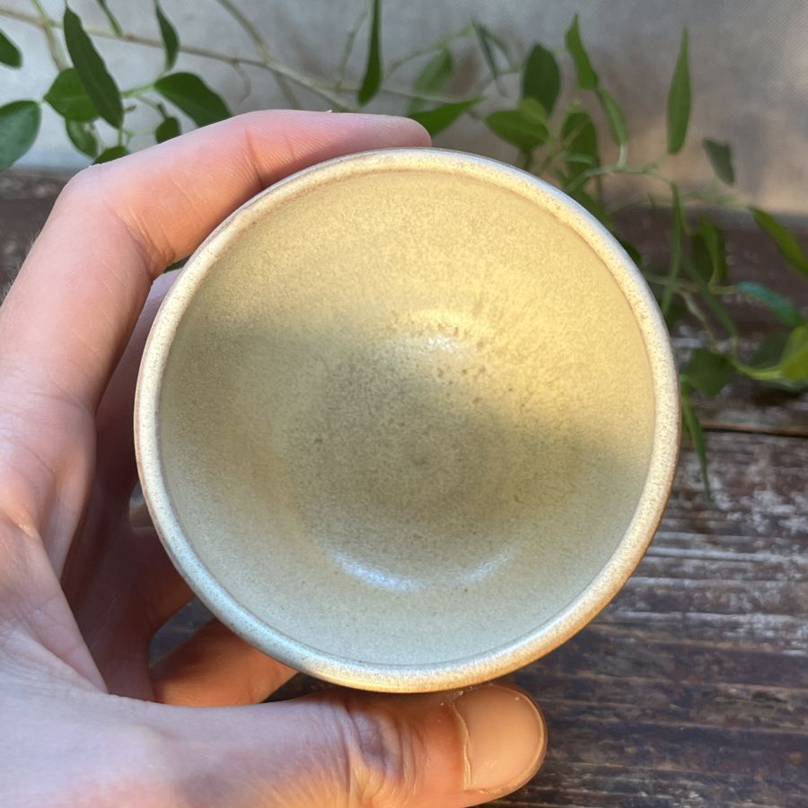 Čajový šálek s malbou vážky