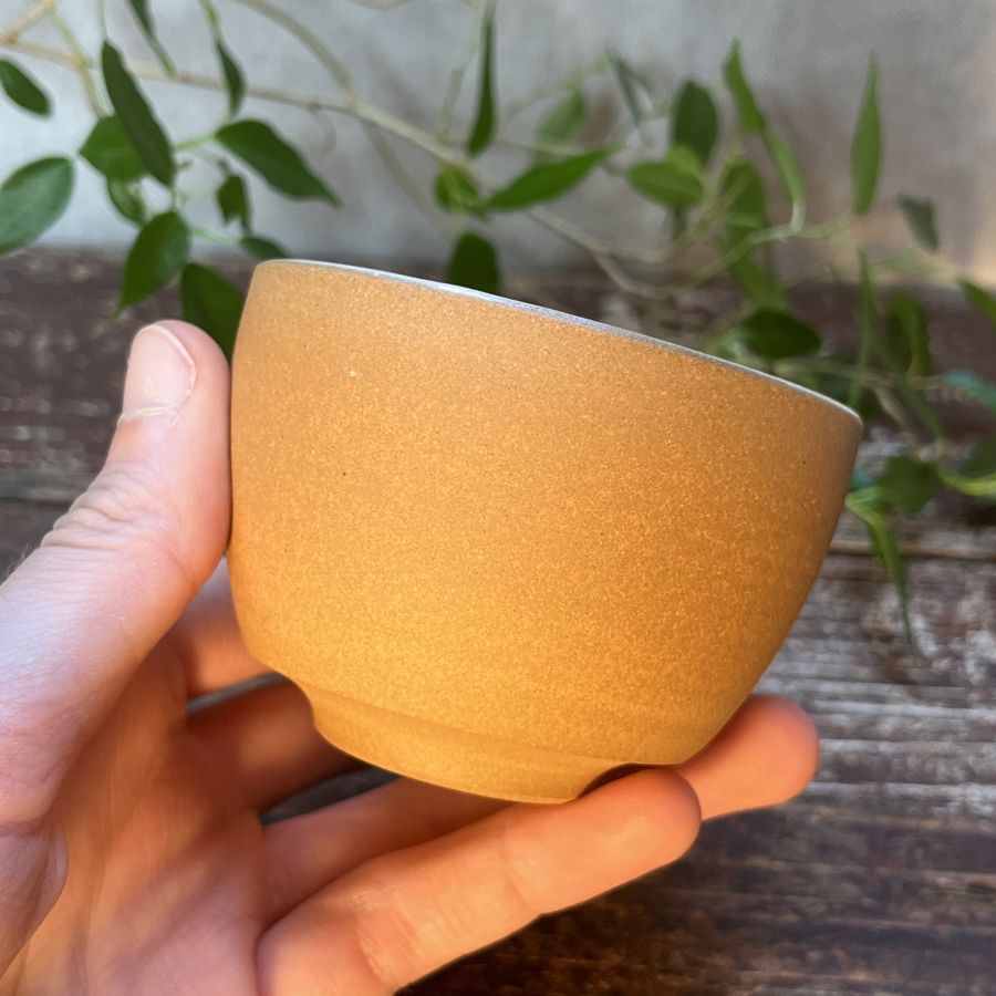 Čajový šálek s malbou vážky