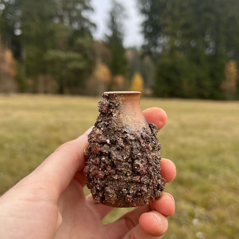 Malá vázička Země