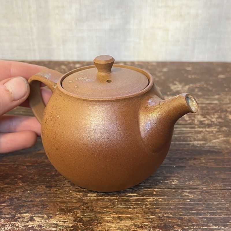 Konvička Ledňáček