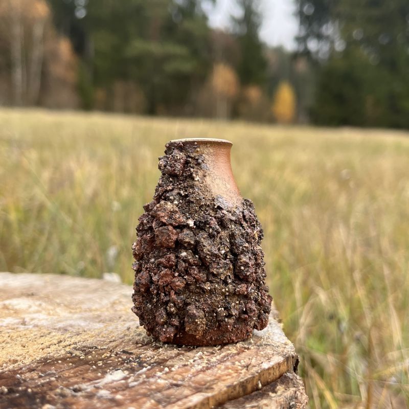 Malá vázička Země